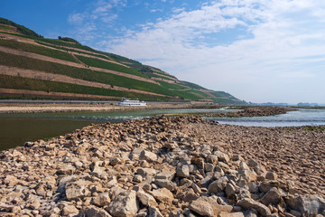 Das stark ausgetrocknete Flussbett des Rheins bei Bingen