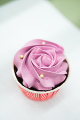 sweet pastel cupcakes with flower on top-shallow depth of field