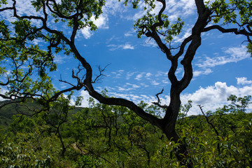 Paisagens Serra da Canastra