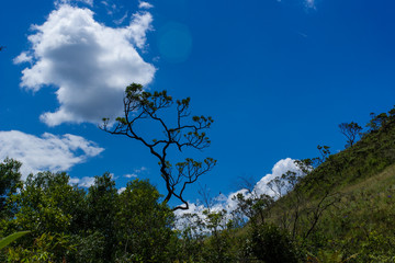 Paisagens Serra da Canastra
