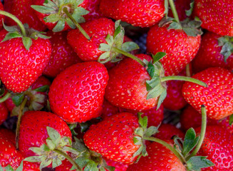 close up  strawberry