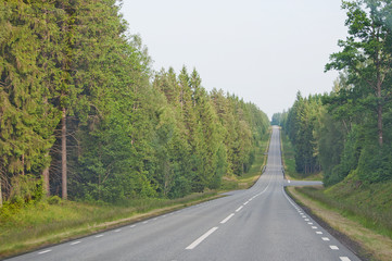 Endless asphalted hilly road ahead through dark green summer forest in south Sweden in July.