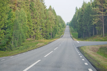 Endless asphalted hilly road ahead through dark green summer forest in south Sweden in July.