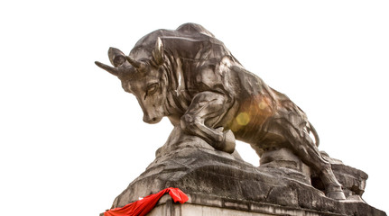 A majestic bull, symbolizing struggle