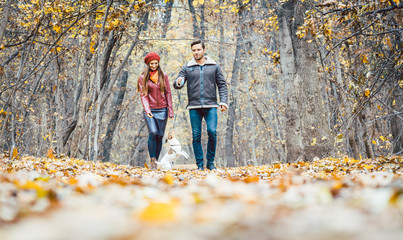 Junges Paar geht mit dem Hund in Herbst Wald spazieren