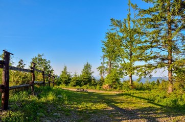 Obraz premium Beautiful rural landscape. Clearing with a wooden fence.