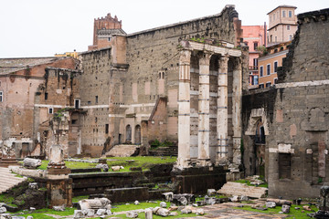 Obraz premium Corinthian columns in the Temple of Minerva in ruins of Foro di Nerva in Rome, Italy