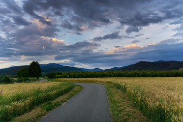 Obraz premium Germany, Road through corn fields with black forest mountains behind at sunset