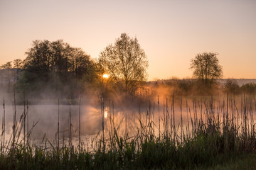 Sunrise Light Piercing Through Mist and Trees and Reflecting in Lake.