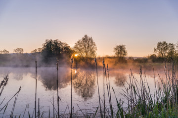 Sunrise Light Piercing Through Mist and Trees and Reflecting in Lake.