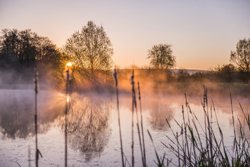 Sunrise Light Piercing Through Mist and Trees and Reflecting in Lake.
