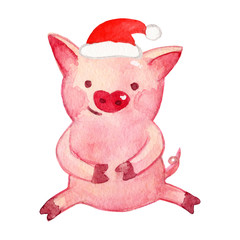 Watercolor Pig. 2019 Chinese New Year of the Pig. Christmas greeting card.   Isolated on white background. Cute watercolor illustration. 