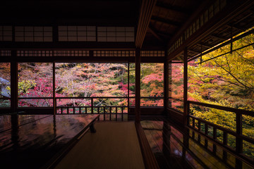 京都府 瑠璃光院 紅葉