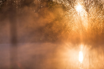 Sunrise Light Piercing Through Mist and Trees and Reflecting in Lake.
