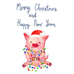 Watercolor Pig. 2019 Chinese New Year of the Pig. Christmas greeting card.   Isolated on white background. Cute watercolor illustration. 