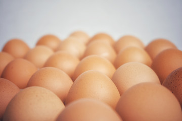 Many fresh raw egg chicken lined up in a row.