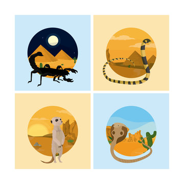 Set of desert animals