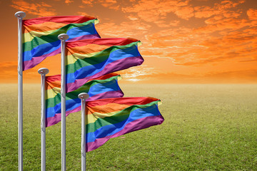 Rainbow Gay Pride Flag