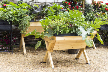 Vegetables in wooden pot container