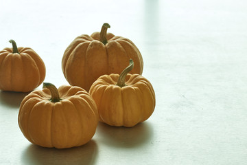 Jack O Lantern Halloween Pumpkins
