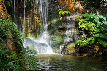 Fototapety  mini wodospad natura w tle parku i tapeta