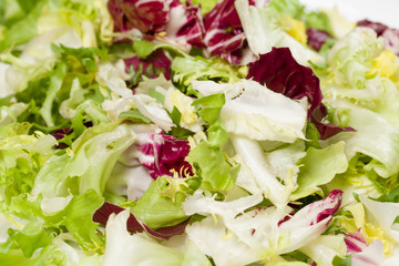Macro photo of mix of different fresh green salad leaves on plate. Leaves of red and white radicchio, arugula, curled-leaved endive and frisee background. Horizontal color photography.