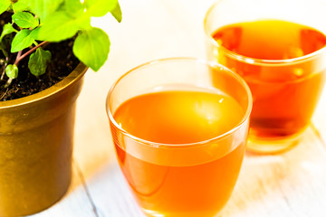 ハーブティー　アップ