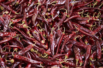 red hot chili peppers