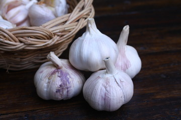 Garlic on the table