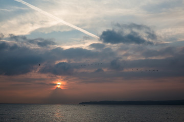 Birds Flock Flying over Lake Leman with Sunrise behind Clouds and Alps Mountains .