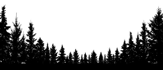 Forest evergreen, coniferous trees, silhouette vector background