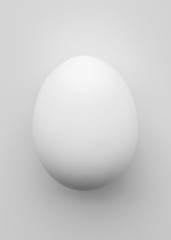 White chicken egg on a light background.