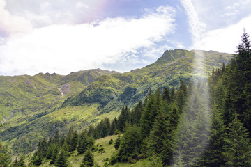 Fototapeta premium Fagaras mountains in a sunny day