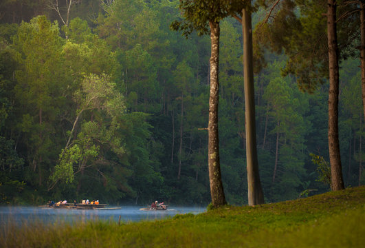 Morning in forest with camping in the mist Pangung Mae Hong Son near Chiang Mai Thailand.