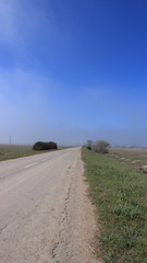 Дорога. Степь. Туман.