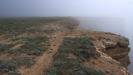 Море. Скалы. Туман.