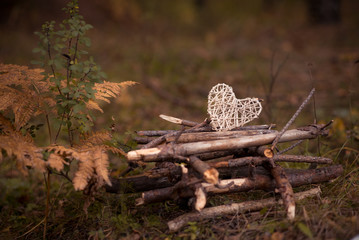 Cozy autumn picnic in the forest, a basket with sweets and a blanket