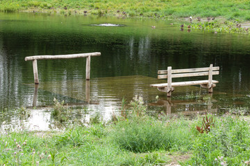 View point at the lake with Garden Bench