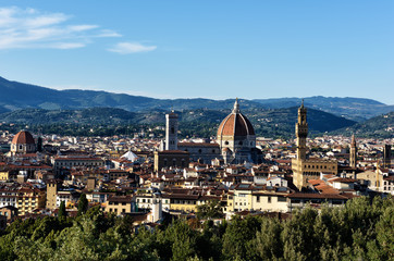 Fototapeta na wymiar Colors summer from Florence / Florence My city My love 