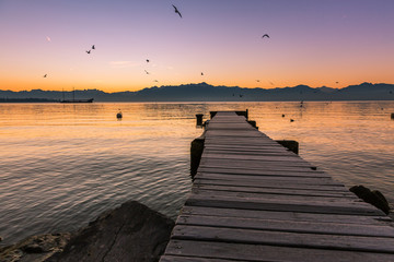 Seagulls Flying over Leman Lake and Frozen Pier at Dawn
