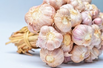 garlic on white background