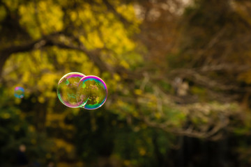 Purple blue and green bubbles floating  on a cold air in autumn