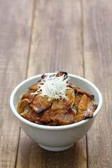 teriyaki pork rice bowl, butadon, japanese food