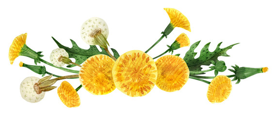 Vignette from yellow dandelion