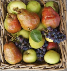 Herbst, Obstkorb, frisch Obstkorb gefüllt holz obstkorb gemüse herbstlicher obstkorb vintage...