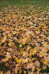 Paisaje de oto&ntilde;o