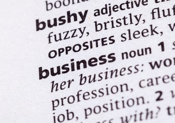 Obraz premium a word and its definition