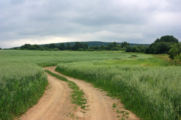 Fototapeta na wymiar A deserted road in the field