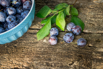 plums in bowl on wooden background