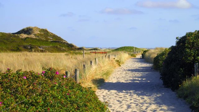 Sylt D&uuml;nen Landschaft Strandweg in H&ouml;rnum